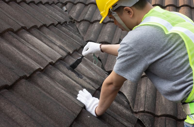 Specialized Roof Repair Experts